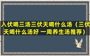 入伏喝三汤三伏天喝什么汤（三伏天喝什么汤好 一周养生汤推荐）